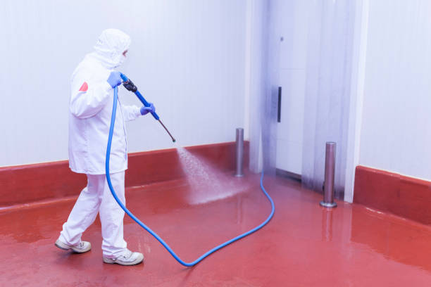 Best Pre-Holiday Cleaning  in Fairmont, NC